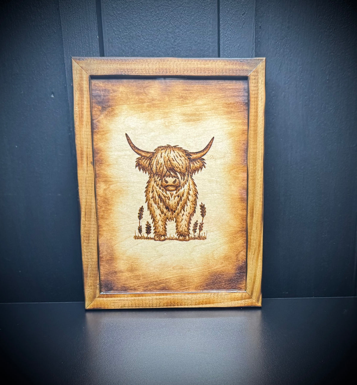 Highland Cow