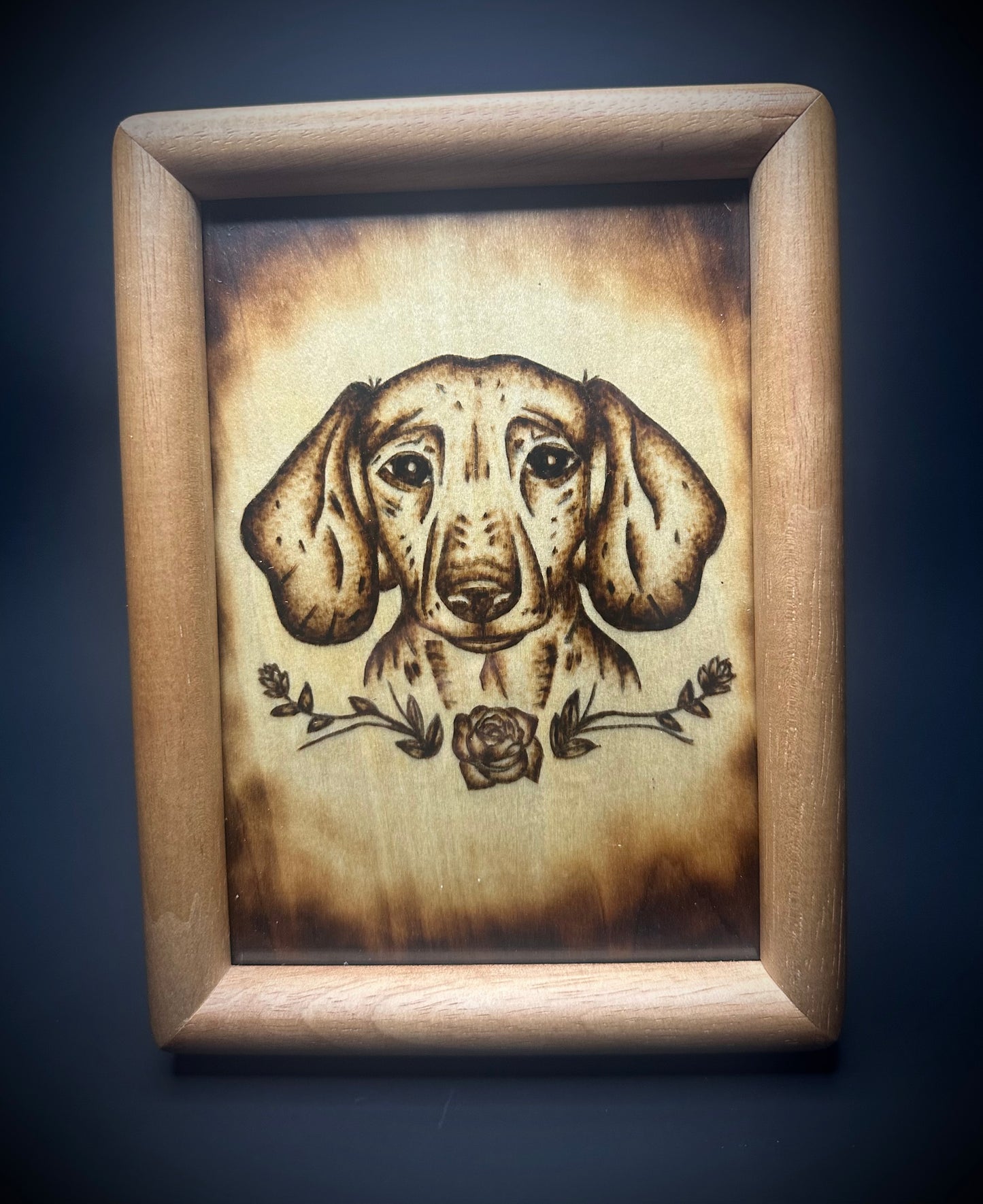 Dachshund