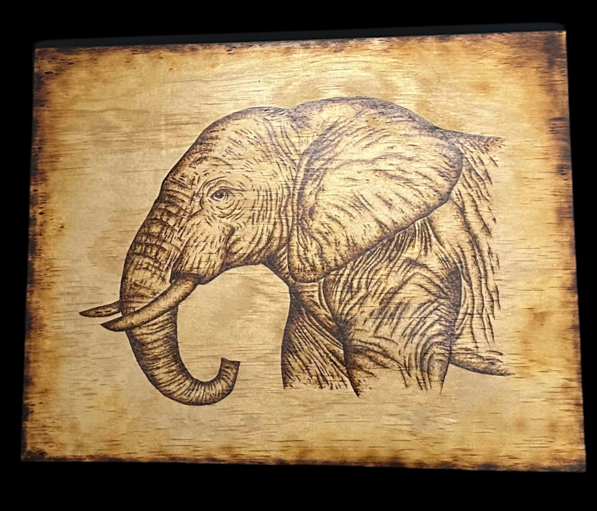 Safari