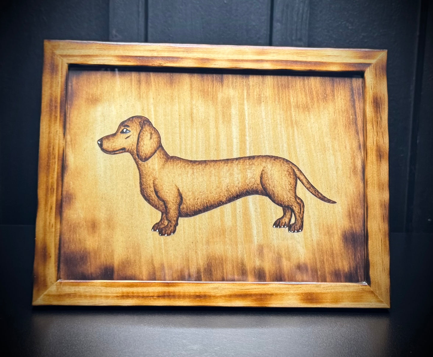 Dachshund