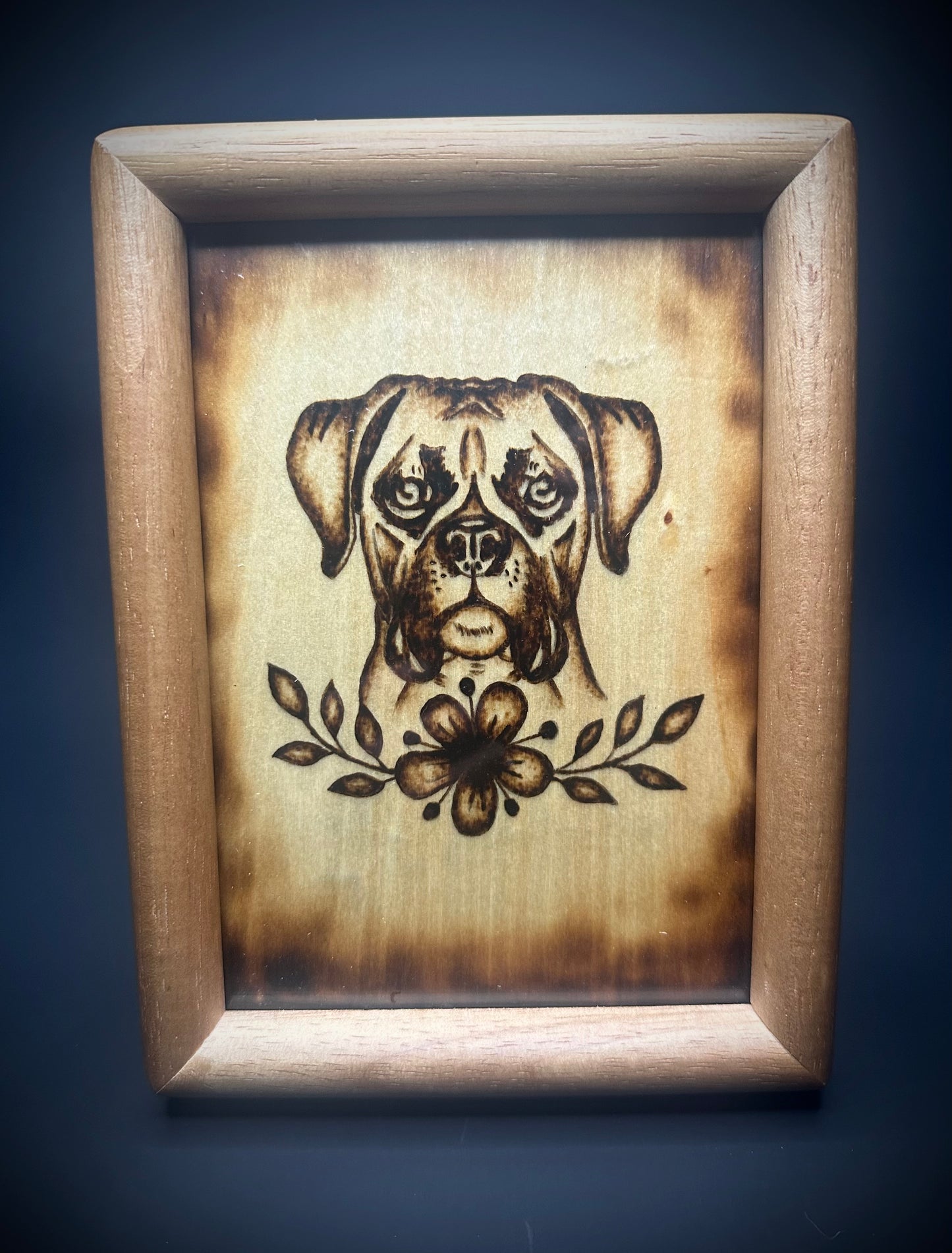 Boxer