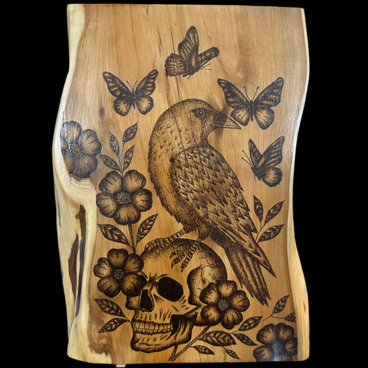 The lost raven