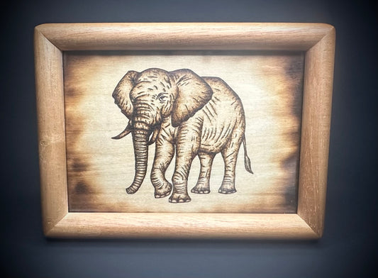 The Graceful Elephant