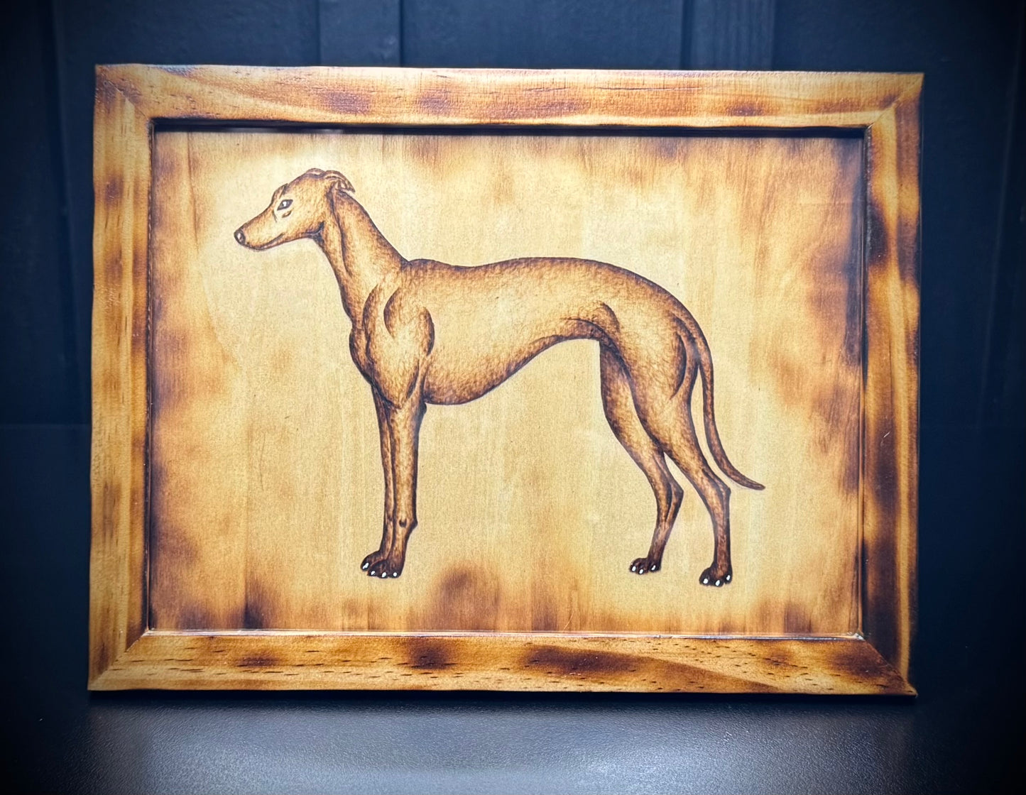 Greyhound