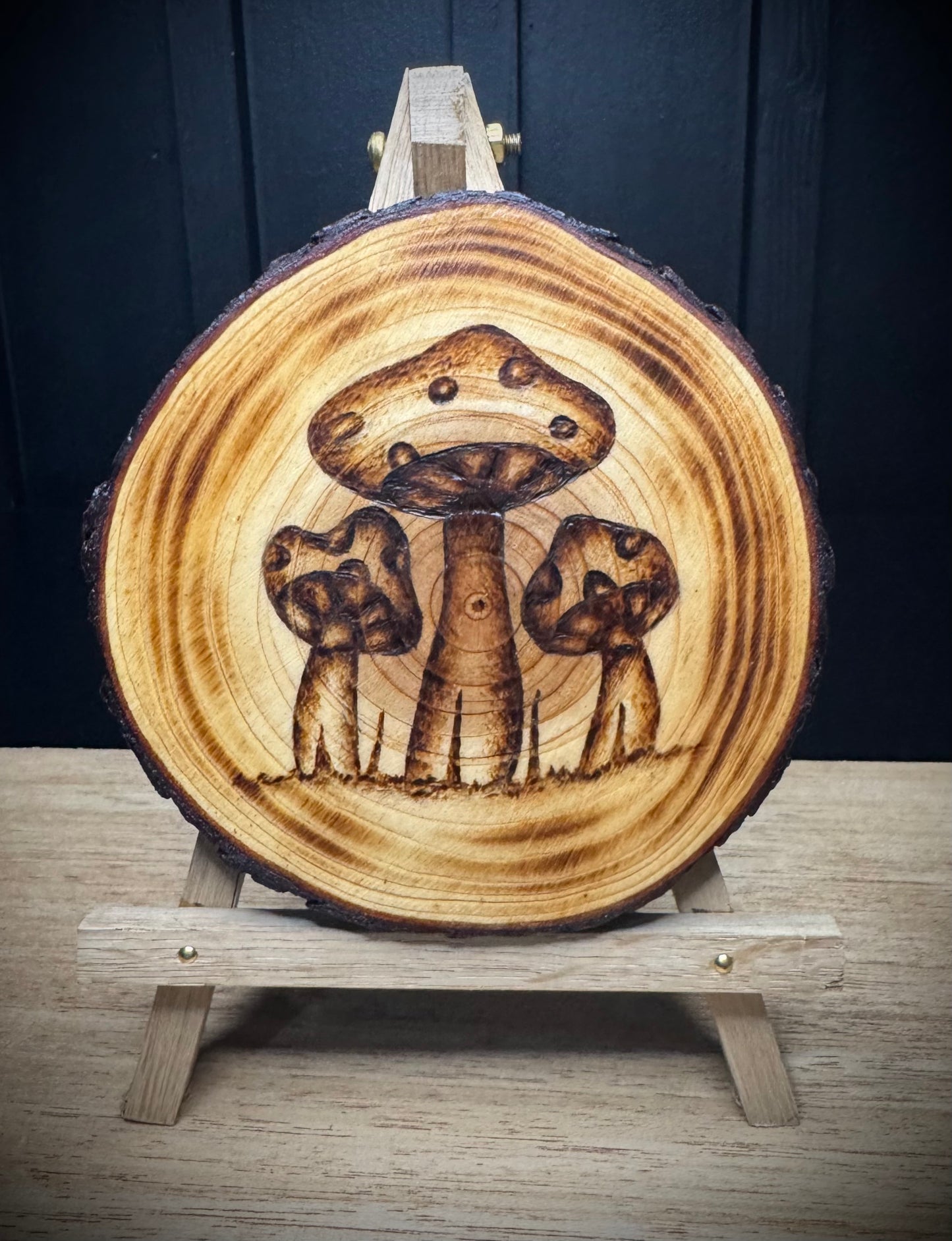 Slice of the forrest