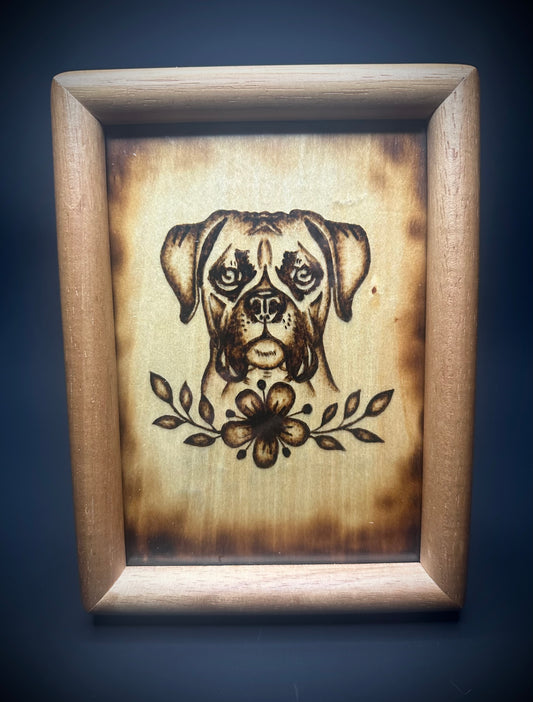 Boxer