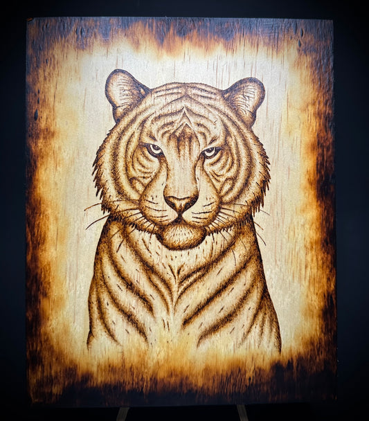 Tiger In Grain