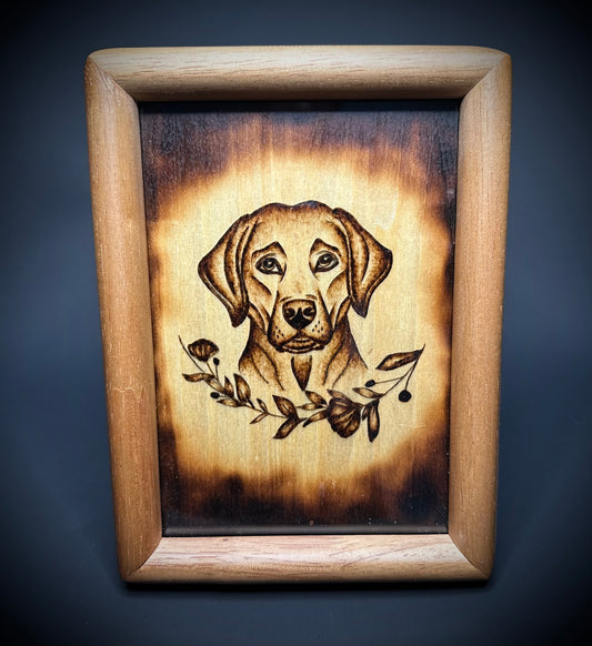 Labrador